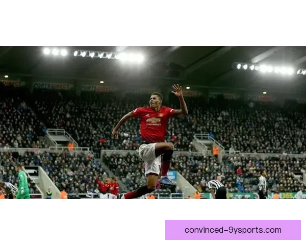 斯旺西俱乐部发布最新转会动态与赛季目标 展望未来挑战