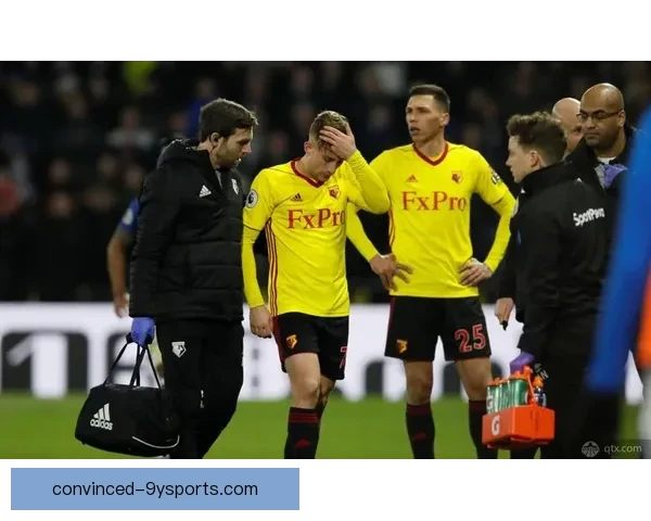 沃特福德最新动态：球队阵容调整与新赛季备战情况揭秘