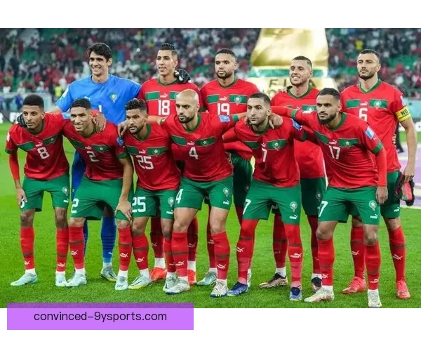 摩洛哥世界杯惊艳表现背后的秘密与启示