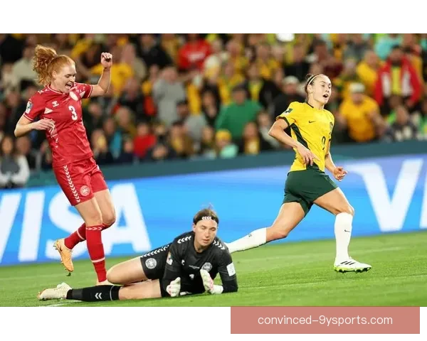 澳大利亚世界杯之旅：从起步到决赛的精彩历程与背后故事